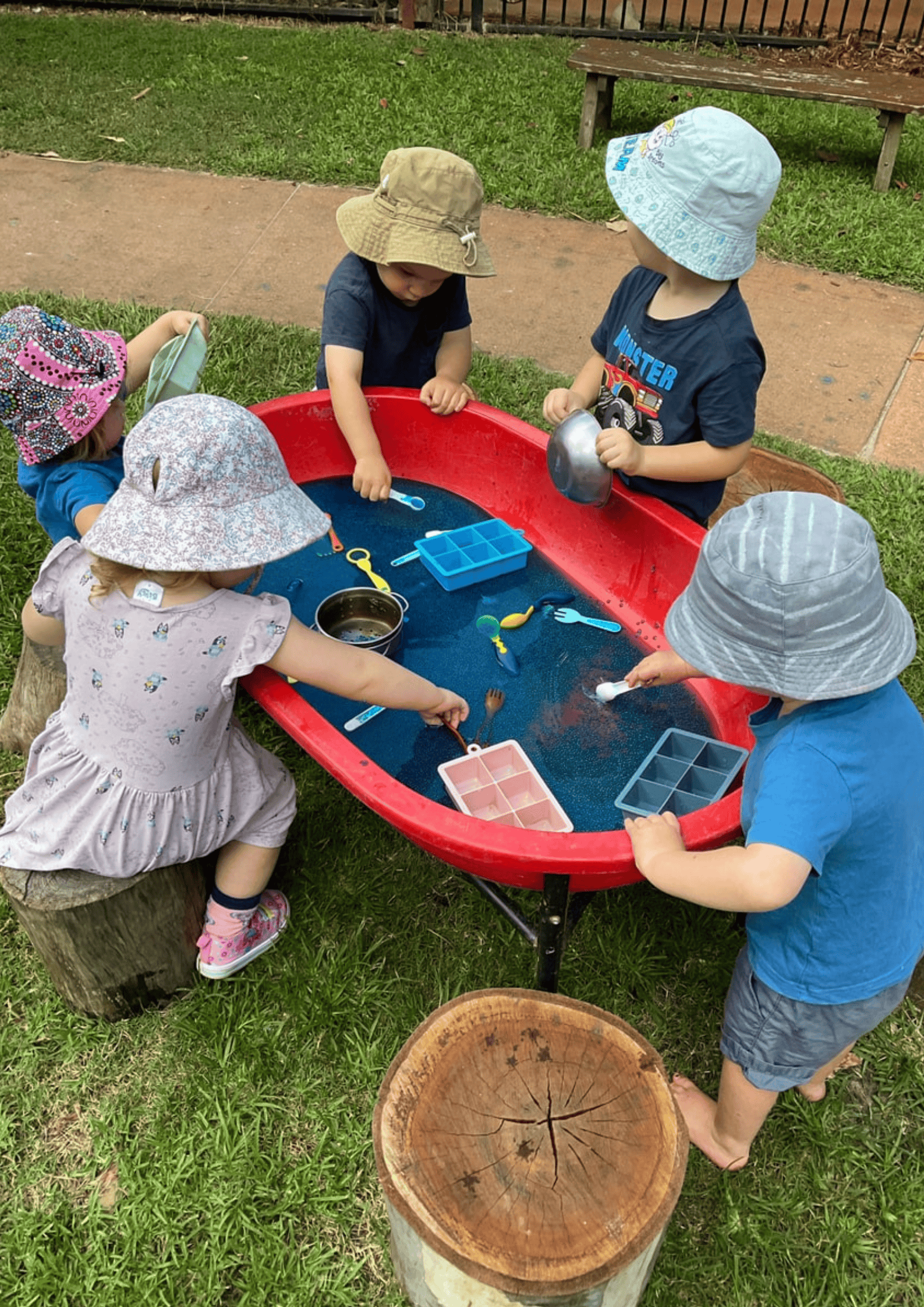 Tamborine Ear;y Education